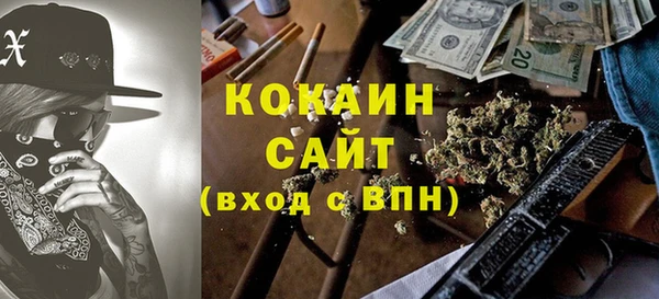 соль ск Абаза